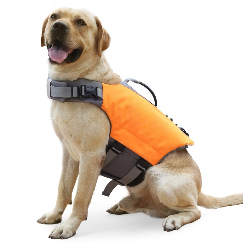 เสื้อชูชีพสำหรับสุนัข เสื้อชูช - Life Jacket Buoyancy บทวิจารณ์และราคา