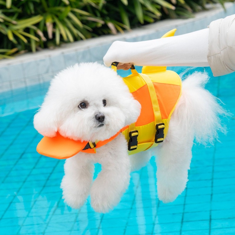 เสื้อชูชีพสำหรับสุนัข ยี่ห้อ S - Life Jacket Buoyancy บทวิจารณ์และราคา